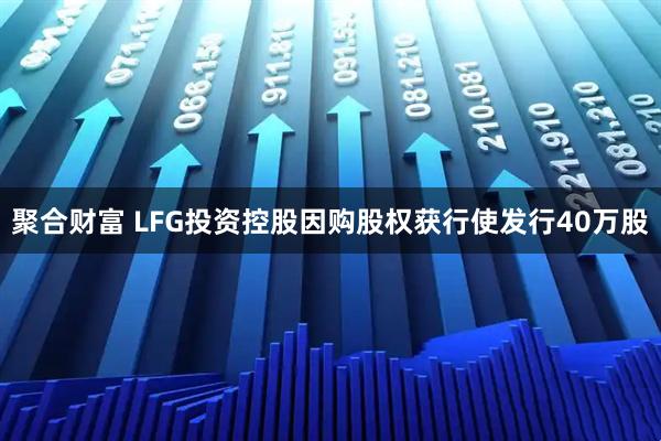 聚合财富 LFG投资控股因购股权获行使发行40万股