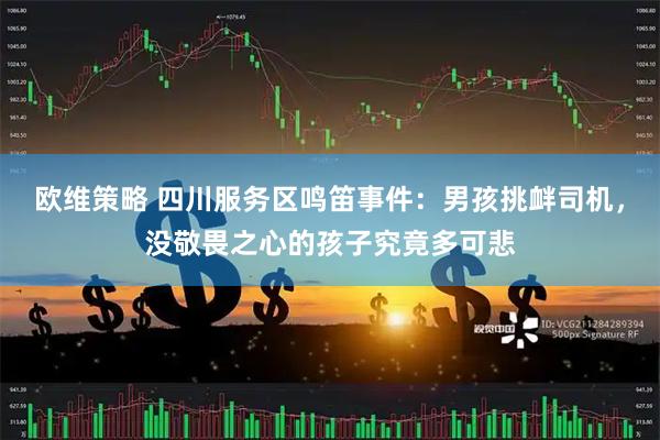 欧维策略 四川服务区鸣笛事件：男孩挑衅司机，没敬畏之心的孩子究竟多可悲